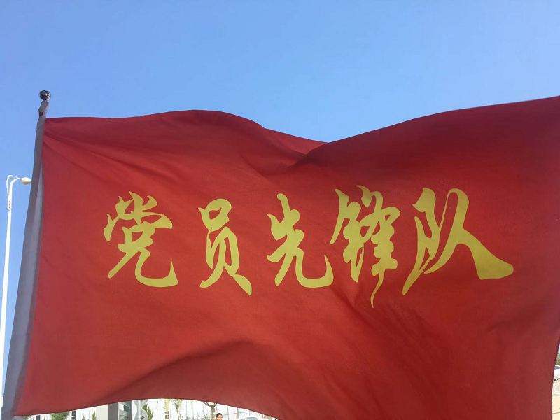 党员先锋队.png